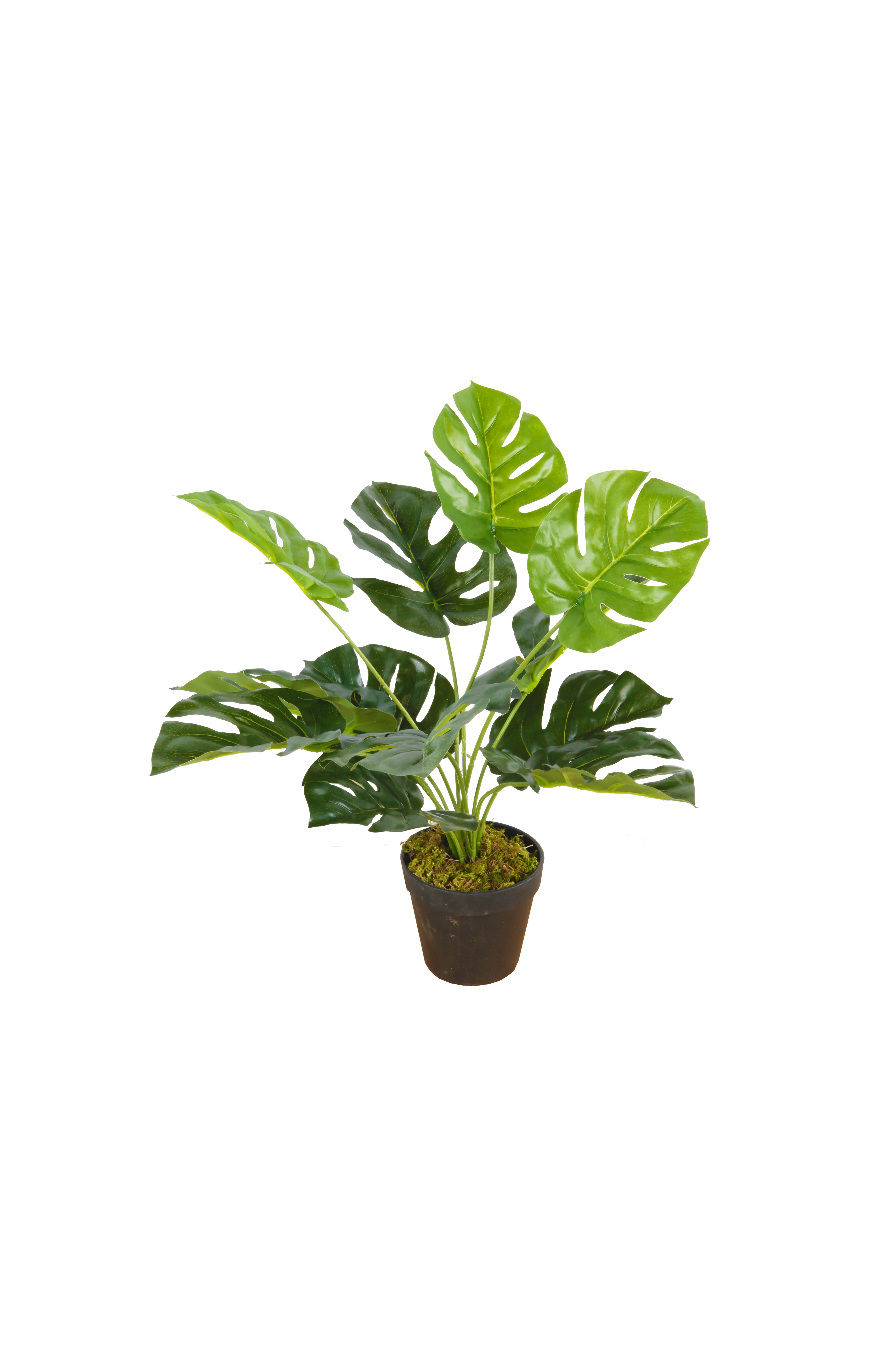 Kunstpflanze Monstera Tischpflanze Zimmerpflanze 12 Blätter 45cm