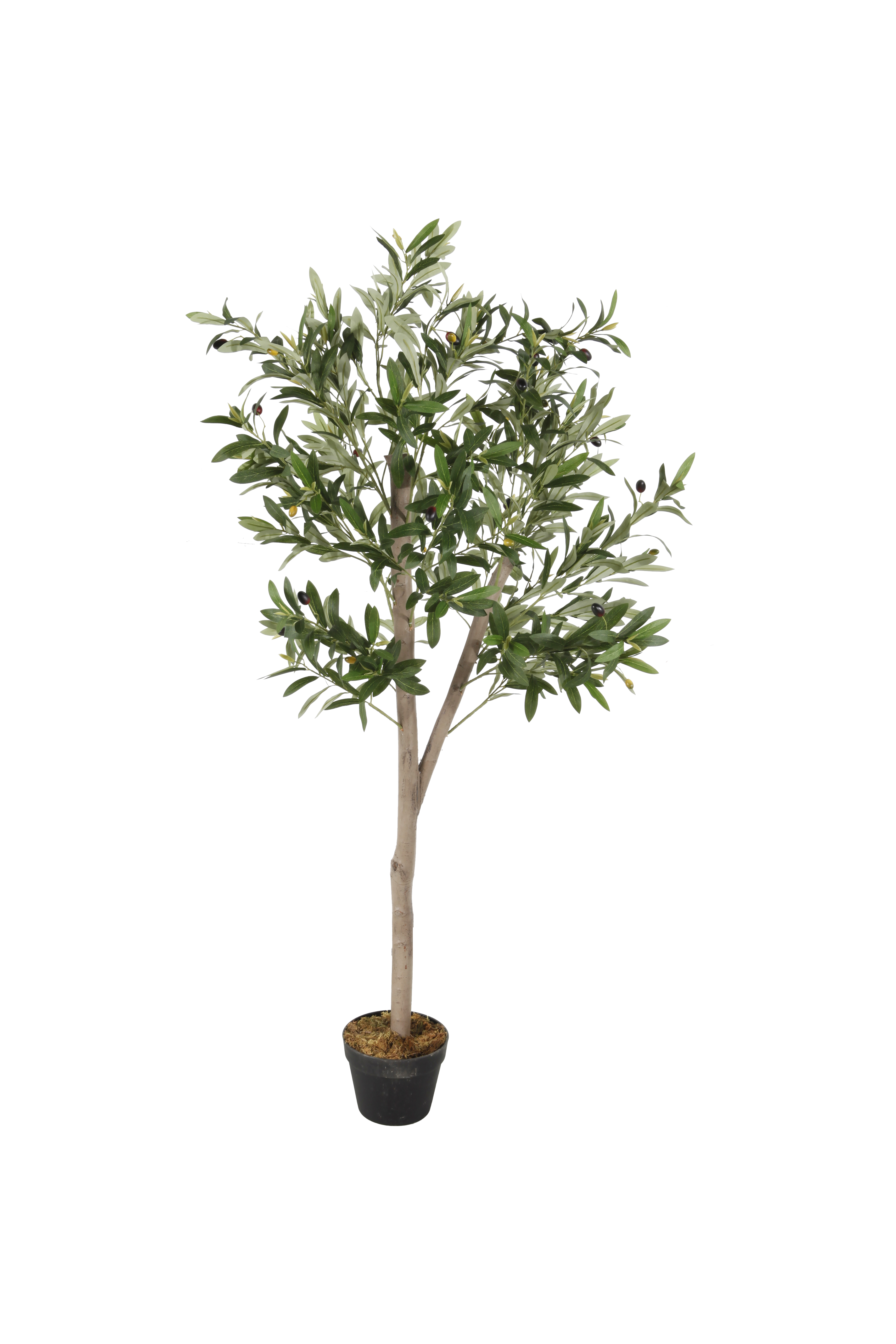 Kunstpflanze Plastikpflanze Olivenbaum Kunstbaum mit Blumentopf 150 cm