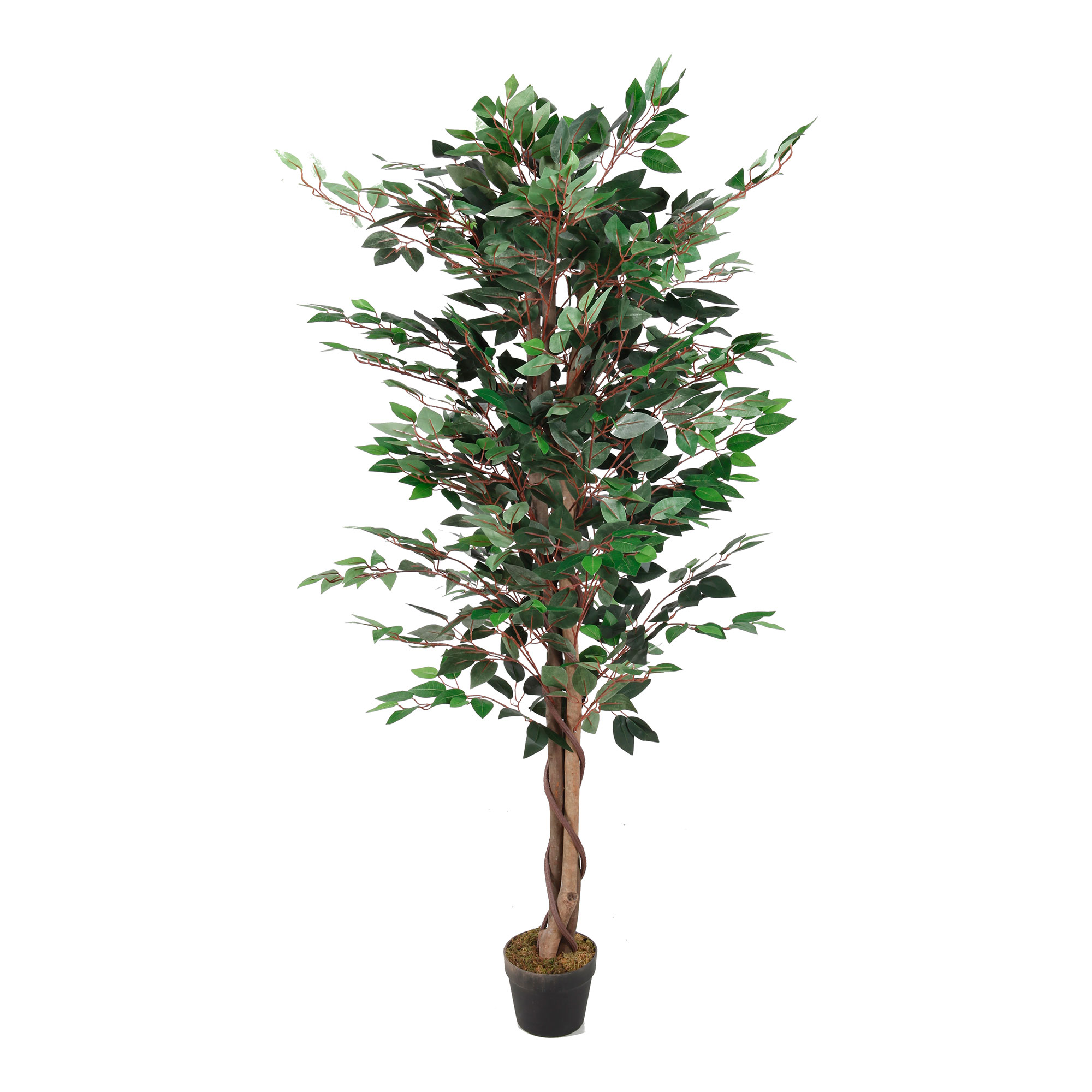 Kunstpflanze Ficus Dekobaum Zimmerpflanze Kunstbaum 1008 Blätter grün 160cm