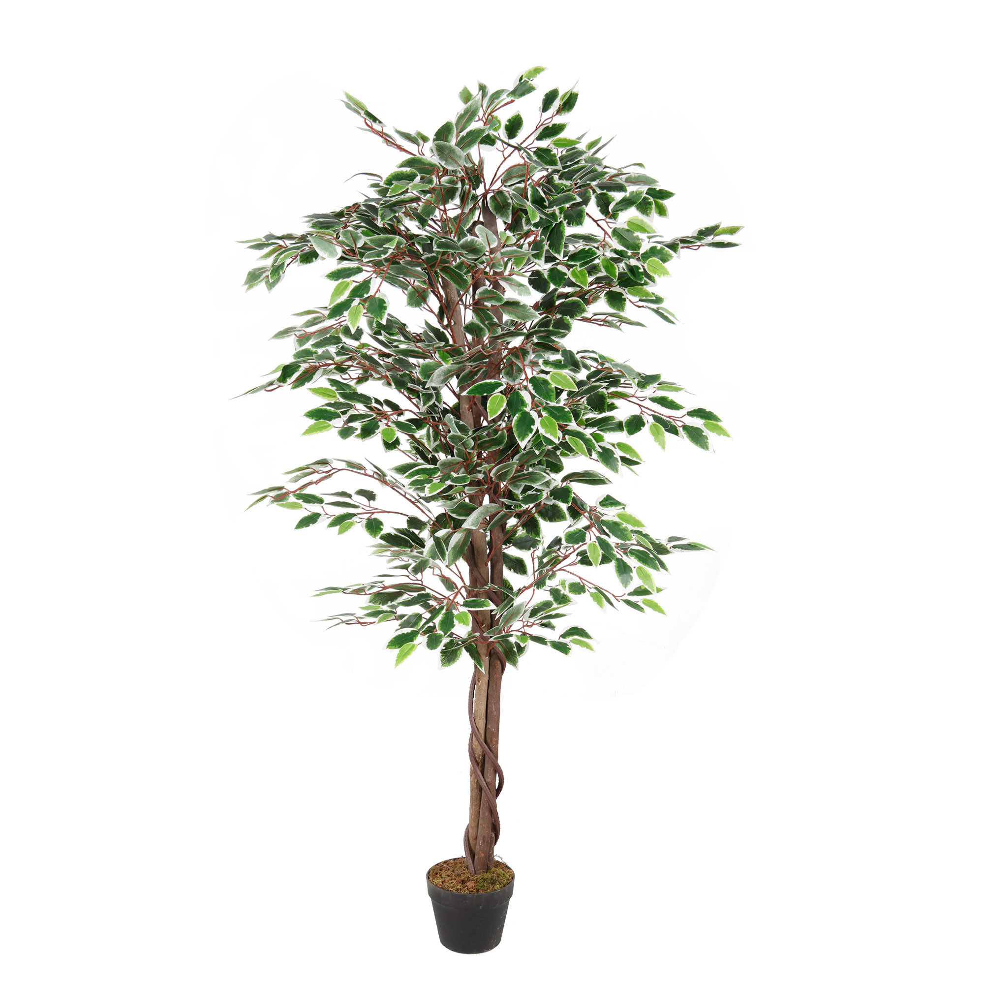 Kunstpflanze Ficus Dekobaum Holz Zimmerpflanze Kunstbaum 1008 Blätter 160cm
